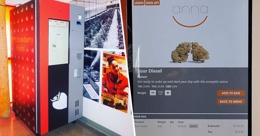anna marijuana vending machine