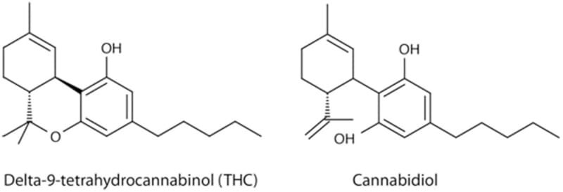 thc vs cbd chemistry