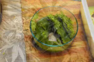 cannabutter recipe