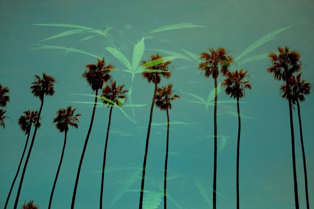is marijuana legal in california