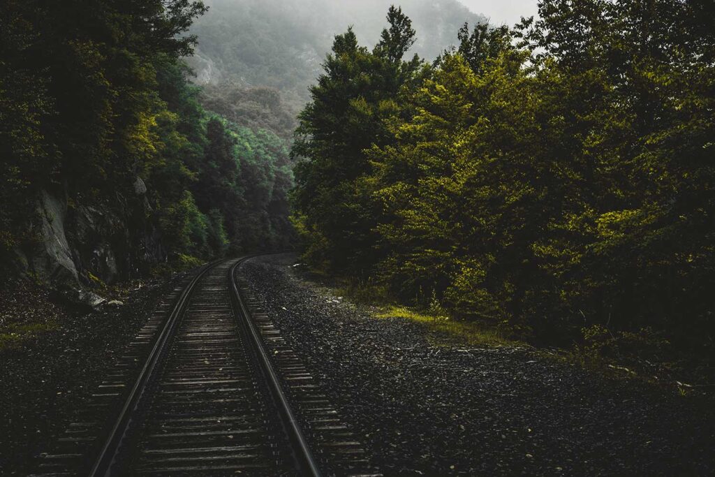 railroad in forest