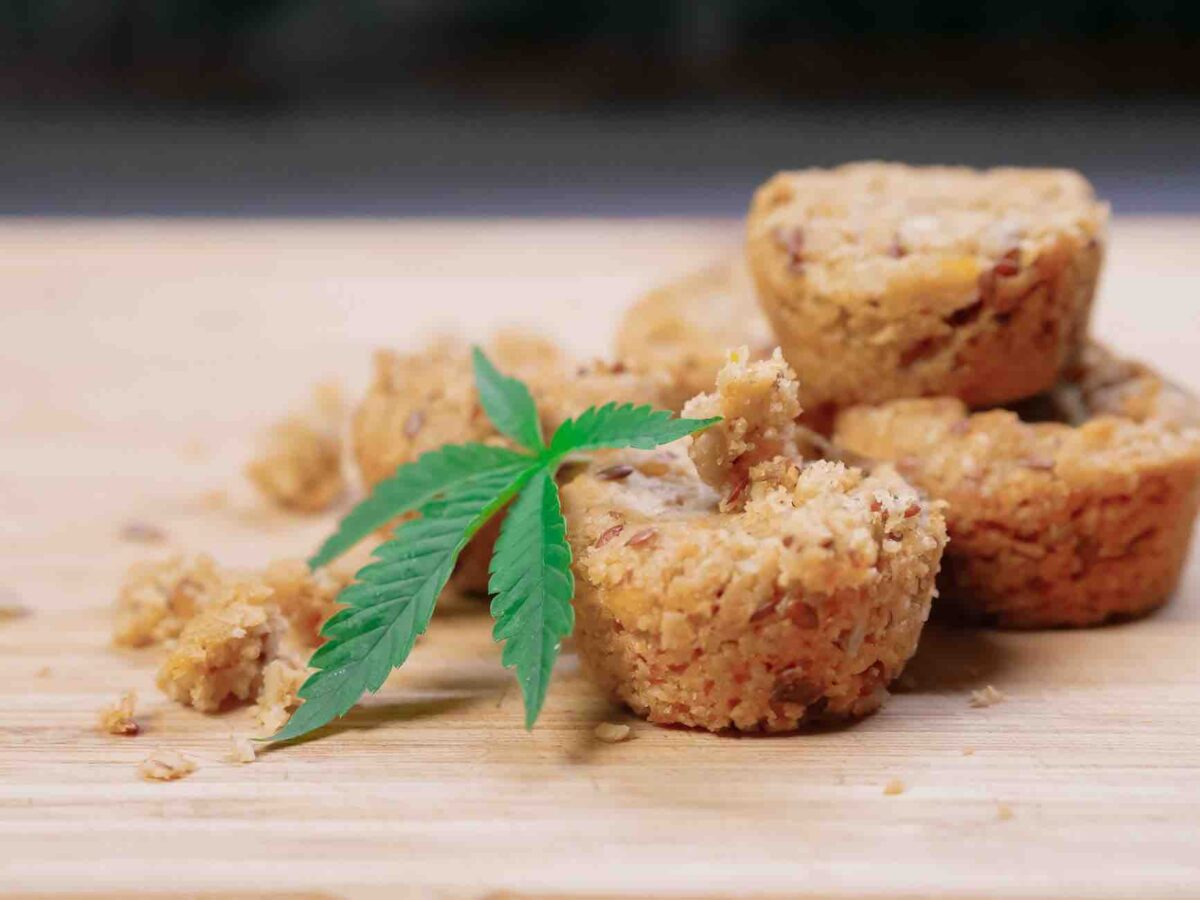 Sativa vs Indica Edibles What's the Difference? • Stoners Rotation