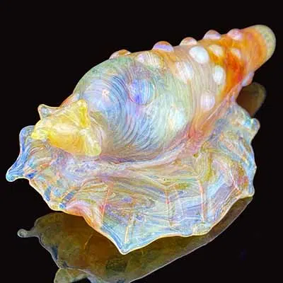 glass seashell pipe