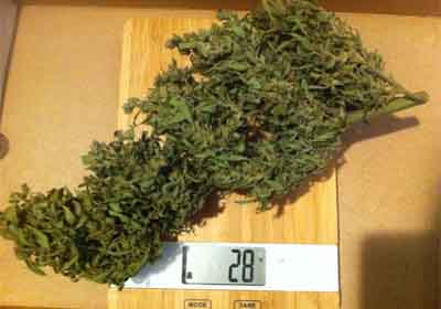 ounce of weed on scale