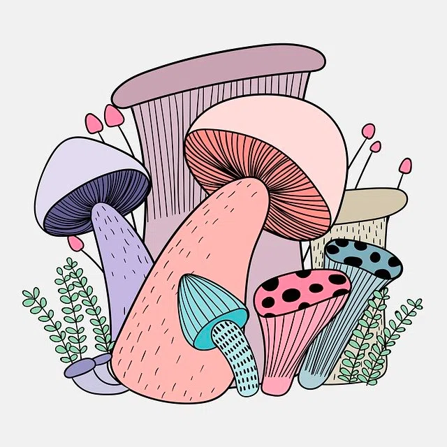 colorful and trippy mushrooms