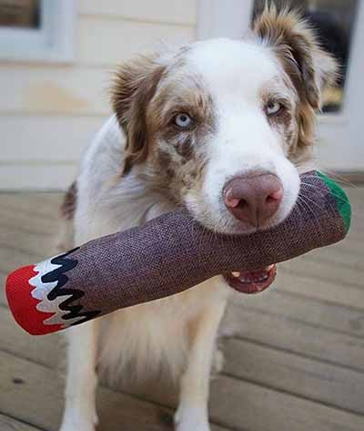 weed themed dog toy