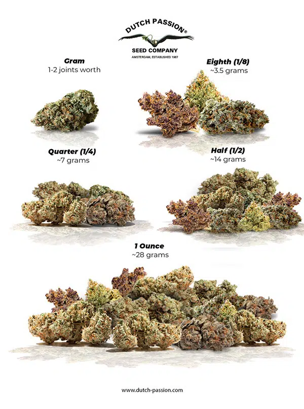 Weed Measurements Guide 2022: Weight, Quality & Pricing • Stoners Rotation