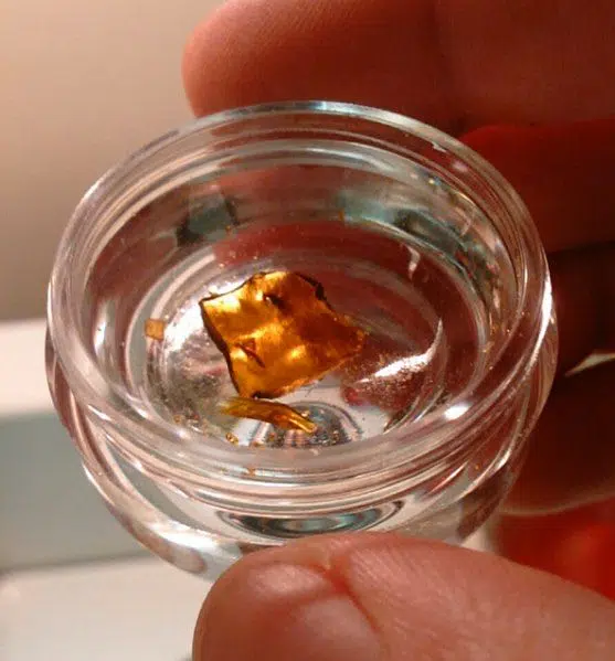 cannaoil shatter