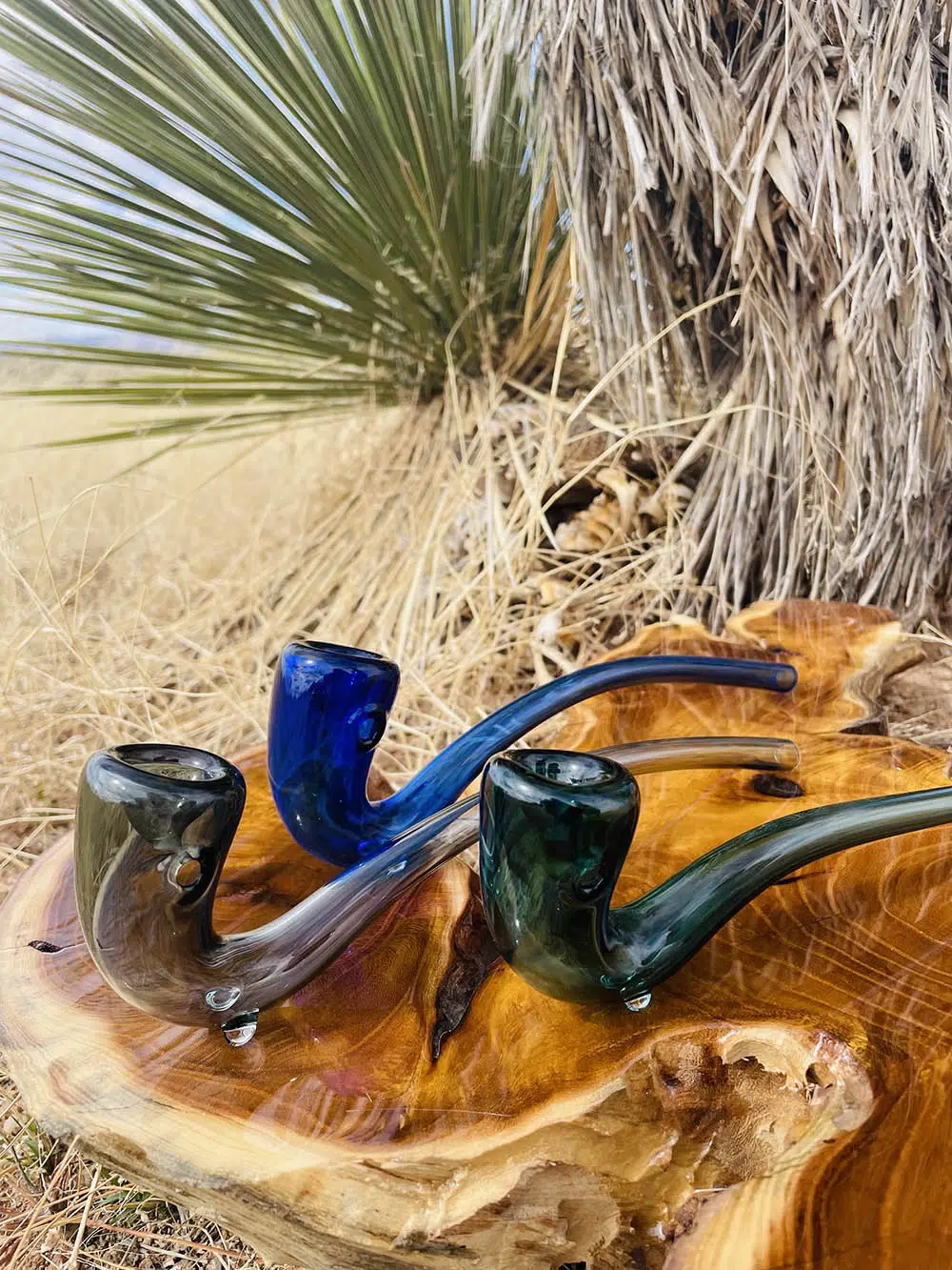 closeup of three gandalfs pipes in teal black and blue on stained textured wood piece with catctus palm and dried. yellow brush behind
