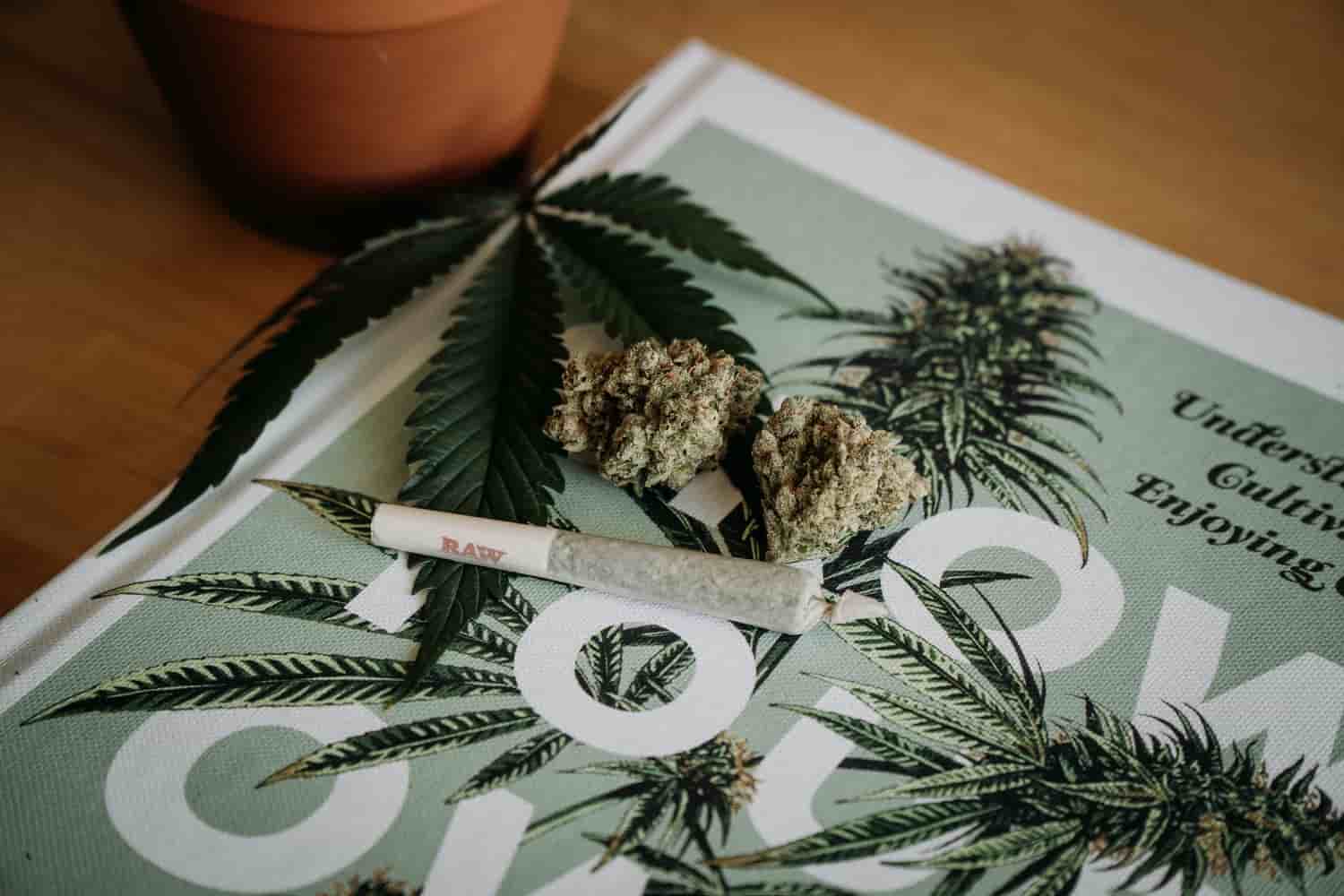 weed on a piece of paper