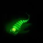 glow in the dark scorpion pipe with yellow scorpion