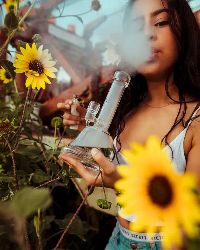 A woman hits a bong in a field of sunflowers