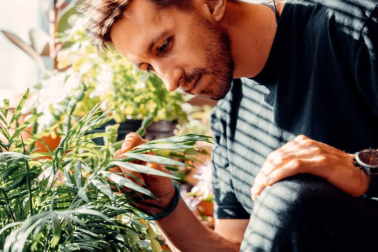 man inspecting plants
