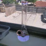 hello kitty bong on ledge in front of window looking outside to parking lot