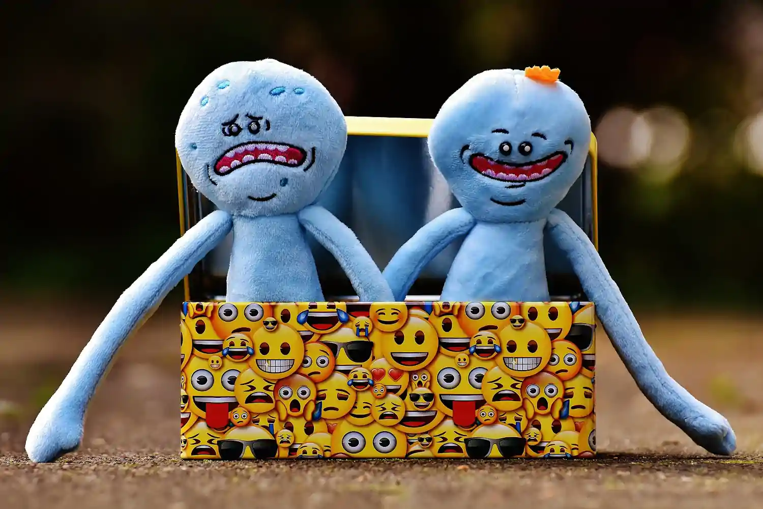 Rick and Morty as plushies sitting in a tin covered with smiley faces