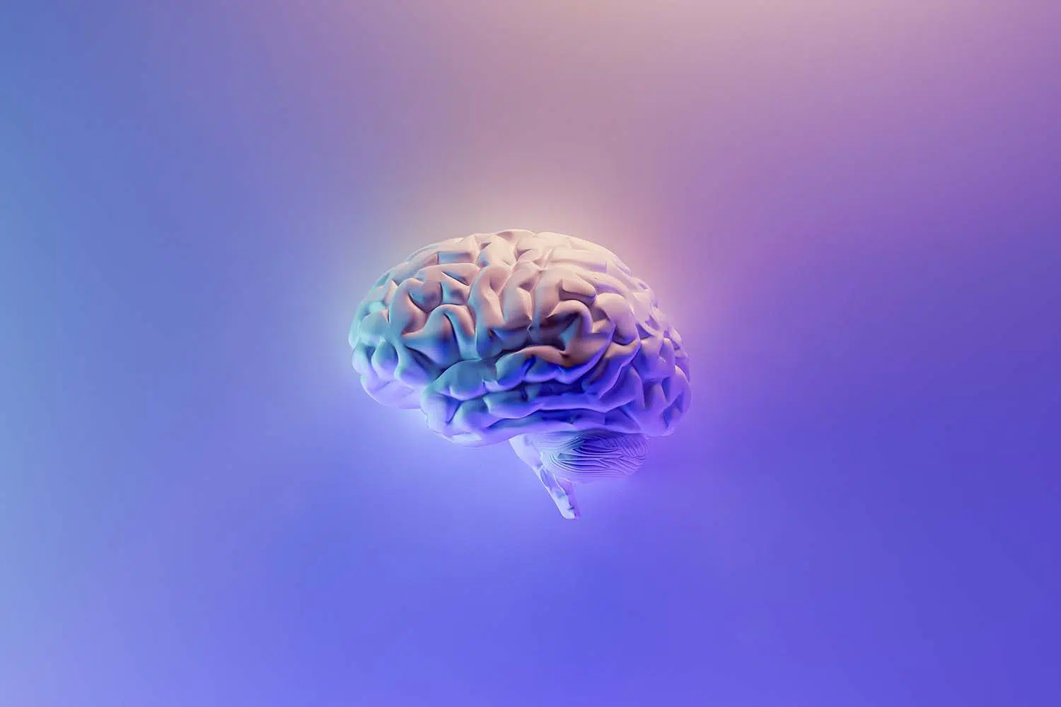 3d rendering of brain on purple background