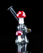 mushroom rig with hand blown mushroom dome