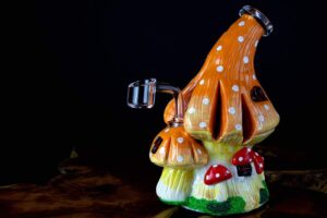 portable dab rig with mushrooms