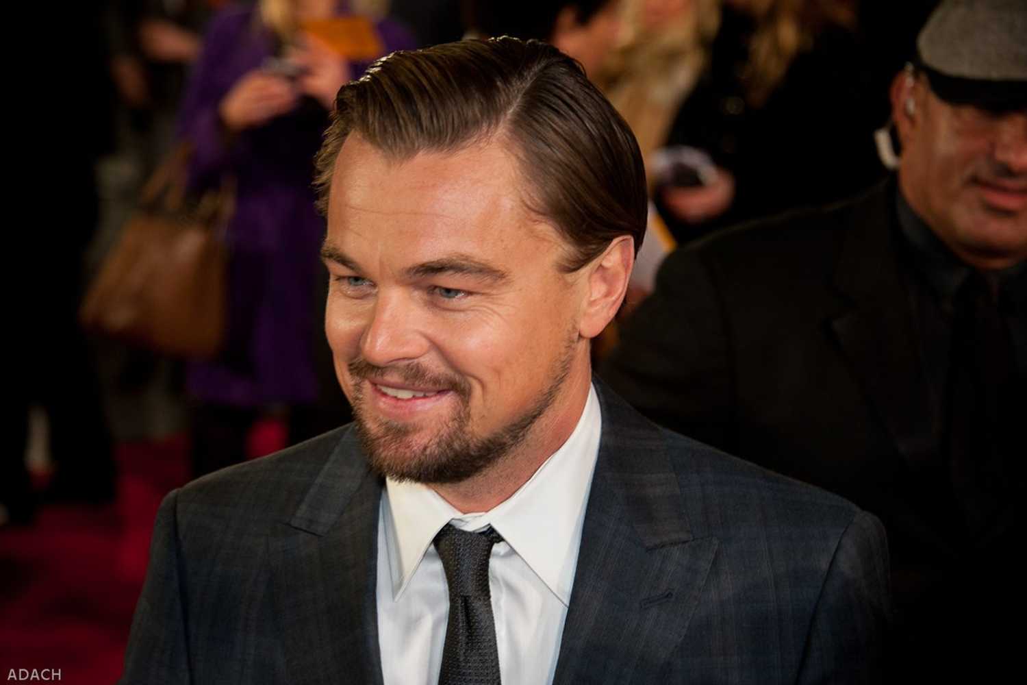 Leonardo DiCaprio on a red carpet