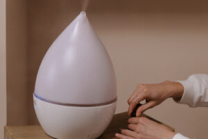 Humidifier