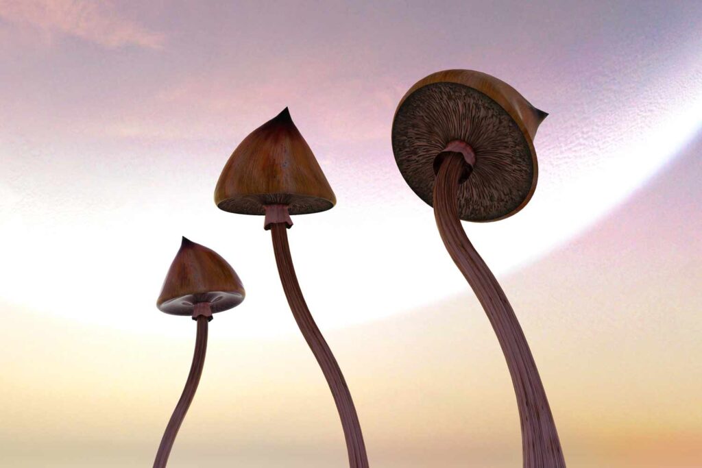 trippy shrooms with cloudless sky background