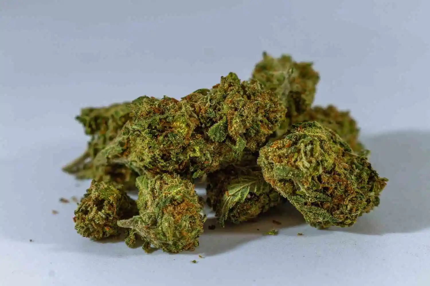 weed buds