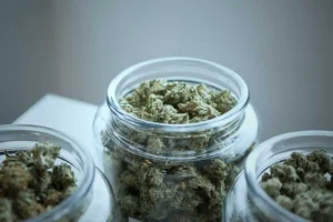 pound of weed in jar