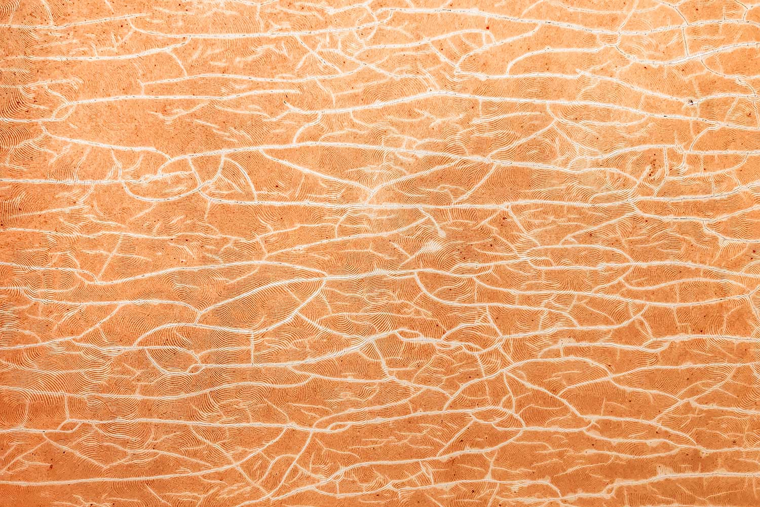 abstract art of cracked skin